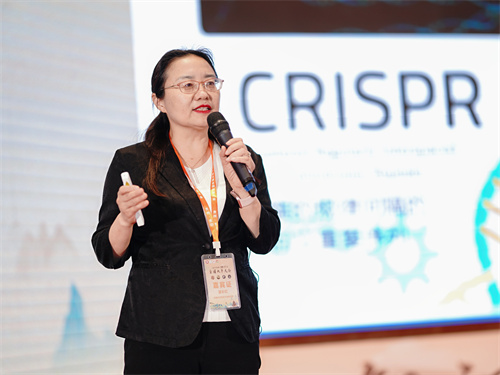 董彩虹 中国科学院微生物研究所 研究员